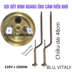 Thanh đốt bình nóng lạnh ngang ariston vitaly 20 lit